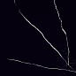 MOG603 Black полированный 60x120 Onlygres