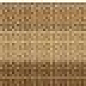 0265043 LIST.DIAMANTATO GOLD 5x60 Versace (Gardenia Orchidea)