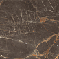 Nebula Brown Полированный 80x160 Laparet