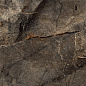 Arizona Green 60x120 Bluezone фото в миниатюре 3