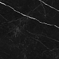 NR209 Ross Black 60x120 PrimaVera