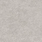 N40042 Basalt Stone Pearl Matt 60x120 Neodom