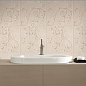 Preciouswall Ascot