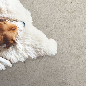 Deimos Global Tile