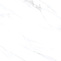 Statuario Venezia Glossy 60x60 Modern Tile