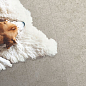 Deimos Global Tile