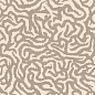 4101188 Nok Snake Ivory 120x120 41ZERO42
