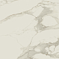 610010002169 Empire Arabescato Rett 80x160 Atlas Concorde Russia
