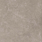 8163 Shell DG 60х60 Creto