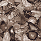 ENACN1013HG60120 Volcanic Agate High Glossy 600х1200х9 Ennface