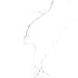 Сlassic Statuario PGVT 60x60 Casati Ceramica