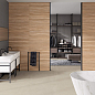 9545 Amazonas Roble Relieve Rect 30х90 Porcelanite Dos