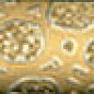 A6566/78 Пленэр Карандаш 25*2 Kerama Marazzi
