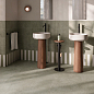Cosmos Harmony фото в миниатюре 2