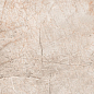 S4430M Lester Beige Mat 60x120 Buono Ceramica фото в миниатюре 9