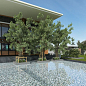 Nature Olympic 5705 MT (3,8x3,8) 31,7x31,7 Vidrepur