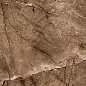 8022 Arizona Choco Polished 80*160 Tile Kraft