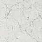 610015000356 Charme Extra Carrara Nat Ret 30x60 Italon