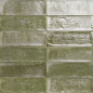 Village Palms 10x30 Mainzu