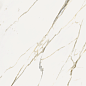 610010004113 Stellaris Calacatta Gold 120 Ret 120x120 Italon фото в миниатюре 4
