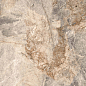 Borghini Natural Sugar Polished 60x120 Realistik
