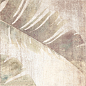 DECOR BOREAL TAUPE mix 20*20 Ibero