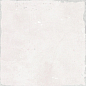 Florentina Olivia Rose 15x15 Nanda Tiles