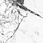 NTT9111P Marble Grey 60x120 NT Ceramic