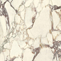 LU628551 Breccia Medicea Lucido 8mm 60x120 IRIS FMG