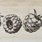 Decor Fruit Creta Raspberry 10x30 Monopole Ceramica