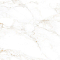 NTT99526M Marble Extra Endless 60x120 NT Ceramic