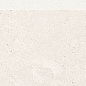 DSAS4800 LIMESTONE 9.5x60 RAKO