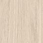 AV01 Alavesa Nordic Неполированный Рект. 19,4x160x11 Ametis by Estima