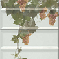 Panno Moscatel Blanco 40x30 Monopole Ceramica
