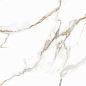 Platinum Gold Glossy 60x120 Art Ceramic