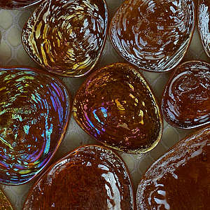 Drops Art & Natura