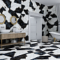 High Gloss Asia Pacific
