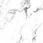 CR4006-A Borghini Silver Carving 60x60 Arcadia Ceramica