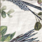 DECOR PROTEA 20x20 Mainzu