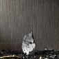 HSE Dinamika Stone Edition Del Conca