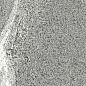 GJ2I Percorsi Frame Gneiss Grey R10 RT 30x60 Keope