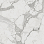 610010001410 Charme Evo Statuario Nat Ret 60х120 Italon