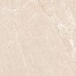 N20554 Persian Beige Matt 60x120 Neodom