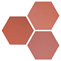122452 Hexa Six Coral 14x16 WOW
