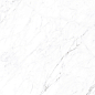 CP4003-A Coralina White Carving Pro 60x120 Arcadia Ceramica