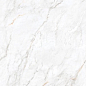 Arden White Velvet 60x120 Leopard