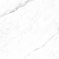 CP4003-A Coralina White Carving Pro 60x120 Arcadia Ceramica