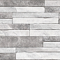 TWU2550DCV17 Discover рельефная 249x500x8 Alma Ceramica (Уралкерамика)