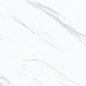 P176496 Narnia Polished 60x120 Pardis Ceramic Pazh