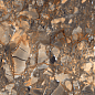 Aristo Sepia High Glossy 60х120 Maimoon Ceramica